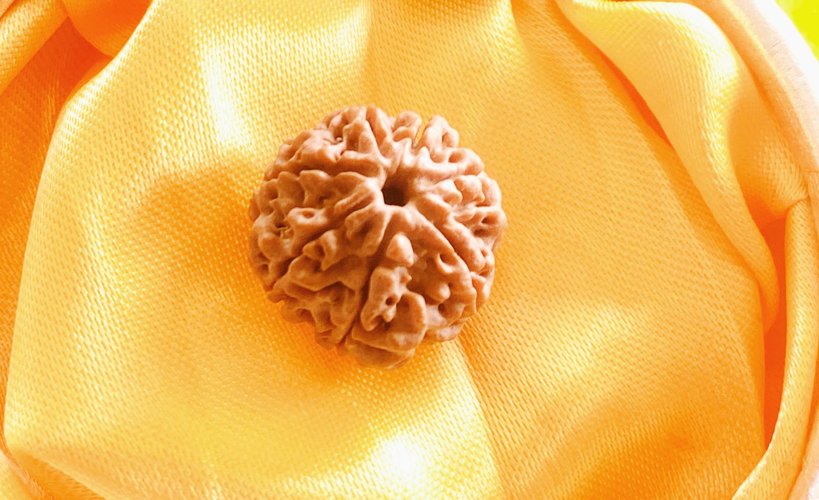 7 FACE NEPALI RUDRAKSH
