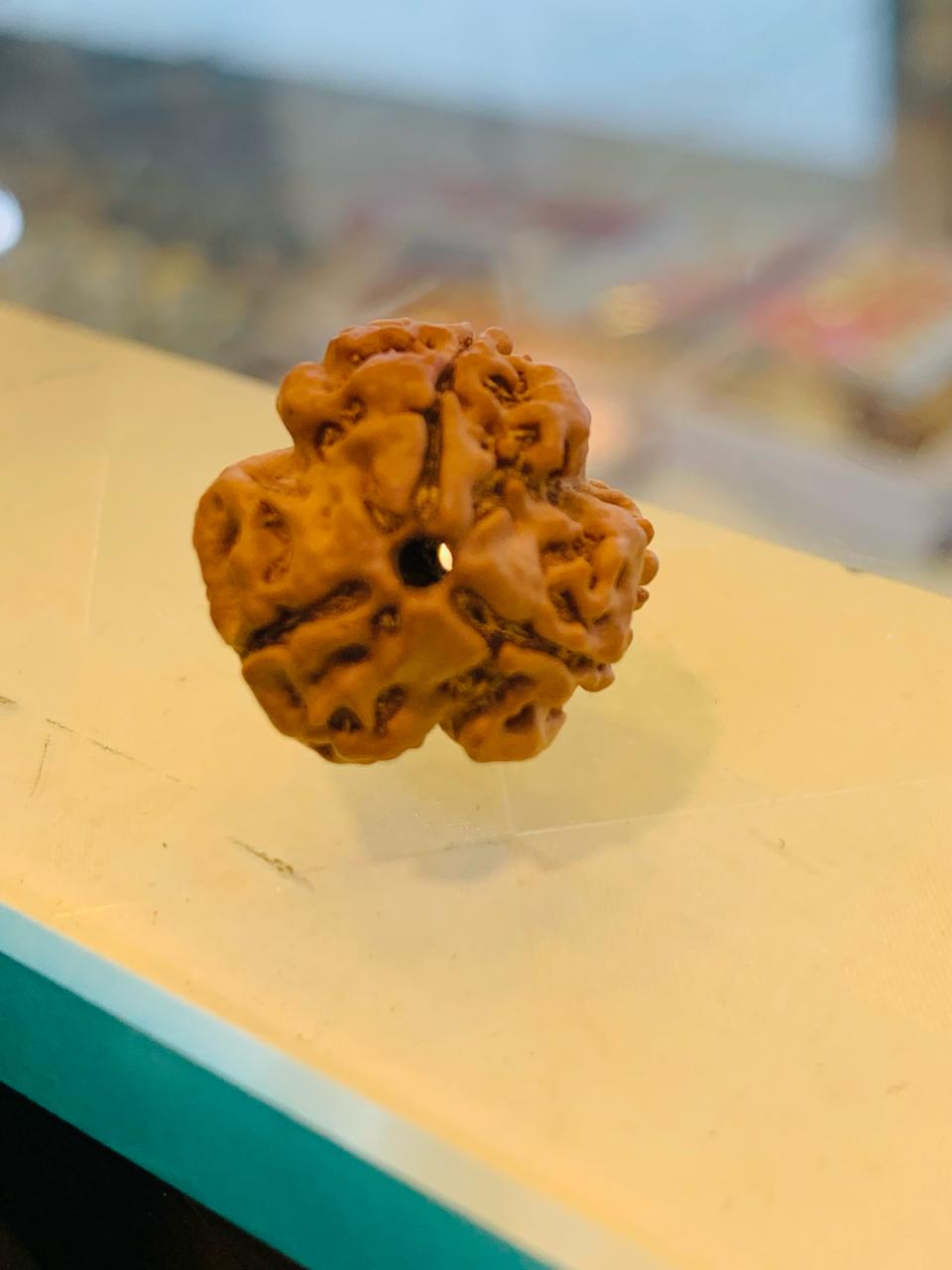 3 FACE RUDRAKSHA NEPALI BEAD