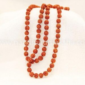 Rudraksha Mala 5 Face