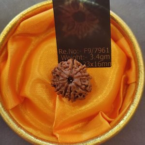9 FACE RUDRAKSHA NEPALI BEAD