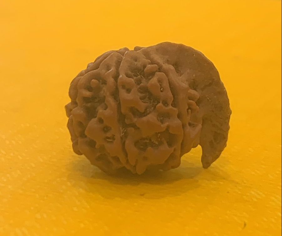 GANESH RUDRAKSHA NEPALI BEAD